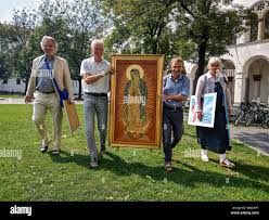 Image result for Oncinotis glabrata