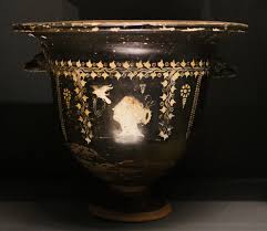 Image result for Dignathia