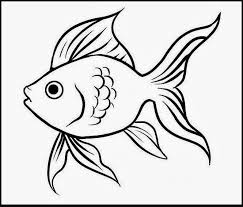 Kumpulan Sketsa Gambar Ikan Koi Lumba Lumba Hias Lengkap