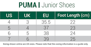 Puma Jr Ignite Pwradapt Shoes Black