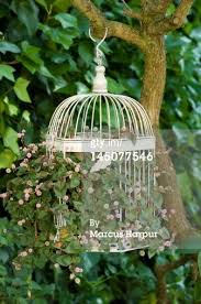 Hanging Bird Cage Decor Ideas Bird Cage Hanging Basket Bird Cage Decor Hanging Bird Cage Hanging Plants