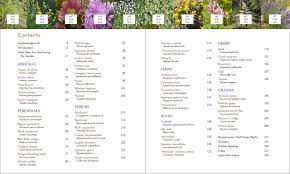 We did not find results for: 50 Beautiful Deer Resistant Plants The Prettiest Annuals Perennials Bulbs And Shrubs That Deer Don T Eat Rodgers Clausen Ruth Amazon De Bucher