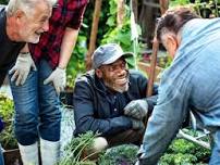 Gardening Tips
