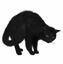 Black Cat Png Transparent Image Black Cat Pngget To Download Free Black Cat Png Vector Photo In Hd Quality Without Limit It Comes Image Cat Black Cat Cats