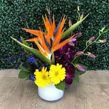 Maybe you would like to learn more about one of these? Send Flowers North Fort Myers Fl Flower Delivery Bloomnation