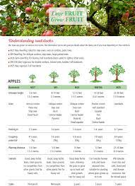 Rootstock start or expand your fruit orchard by grafting your own trees. Apple Tree Rootstocks Brogdale Online