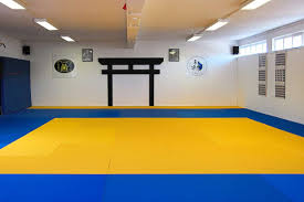 Karate matten tatami | karate. Balingen Dojo Geputzt Renoviert Gestrichen Balingen Umgebung Schwarzwalder Bote