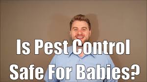 Any food that shows clear signs of contamination should be discarded. Is Pest Control Safe For Babies Rove Pest Control