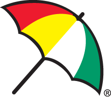 1 historical a pilgrim, especially one who had returned from the holy land with a palm branch or leaf as a sign of having undertaken the pilgrimage. Arnold Palmer