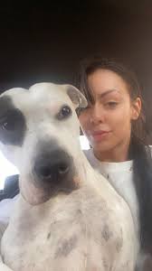 Lost dog in town, $500 reward for safe return