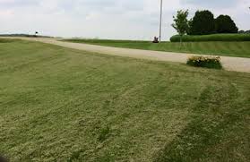 Basic lawn care services at a great price. Alex S Lawn Care Snow Removal Services 3946 Willow Ridge Dr Sw Rochester Mn 55902 Yp Com