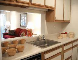 From the inside of your house. Kitchens With Pass Through Windows Red Oak Properties