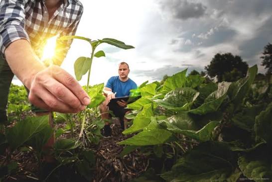 L'avenir de l'agriculture - Commission européenne