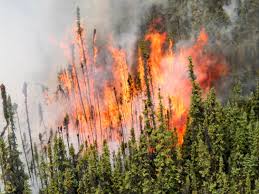 The canmore firefighters association on facebook said that crews from kananaskis, canmore the community of canmore, alta., and people far beyond the bow valley are rallying behind barry. State Of Emergency Declared In Md Of Bighorn As Wildfire Becomes Out Of Control Cochranenow Cochrane Alberta S Latest News Sports Weather Community Events