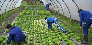 Información, novedades y última hora sobre agricultura ecológica. Somos Referencia Europea En Agricultura Ecologica Agriculturers Com Red De Especialistas En Agricultura