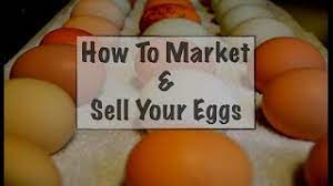 Can you donate your eggs for money? How To Market Sell Your Eggs Youtube