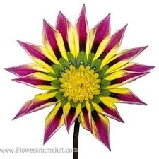 We did not find results for: Flowers That Start With G Flowers Name List
