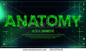 Anatomy Banner Vector Medical Background Transparent Roentgen X Ray Text With Bones Radiology 3d Scan Medical Heal Medical Background Banner Vector Anatomy