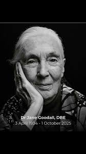 BREAKING: Dr. Jane Goodall, an animal rights advocate, has died of natural  causes at age 91, the Jane Goodall Institute says in a  statement.#janegoodall #rip #trendingnews #advocate