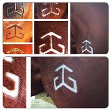 See latheredhorses.com for full length video. Pin Auf Prieto Branding Irons Prietobrandingirons