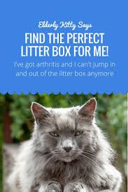 What Is The Best Litter Box For Elderly Cats With Images Litter Box Senior Cat Care Senior Cat