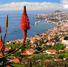 Maybe you would like to learn more about one of these? Madeira Eine Insel Wie Ein Uppiger Garten Bilder Fotos Welt