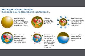 Osmocote plus outdoor & indoor plant food is not designed for use in hydroponic gardening. What Is Controlled Release Fertilizer Cromalinsupport