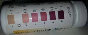Ketostix Ketone Urine Analysis Test Strips What Have I