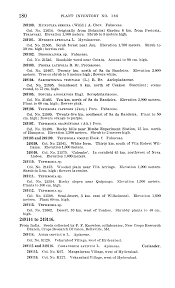 Image result for Droogmansia