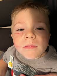 Amanda Showman's Instagram, Twitter & Facebook