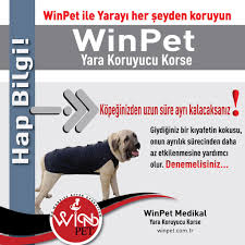 Kopeginizden Uzun Sure Ayri Kalacaksaniz Mutlaka Denemelisiniz Winpet Yarakoruyucukorse Mutlupatiler Www Winpet Com Tr Kopek Kedi Korse