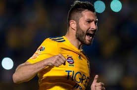 Gignac's rebirth and something of a second career in mexico is the stuff of legend with the man from martigues revered by tigres fans and respected by opponents for what he has brought to their. Gignac Cartonne Avec Les Tigres Mexique Tigres De Monterrey 9 Fevrier 2020 Sofoot Com