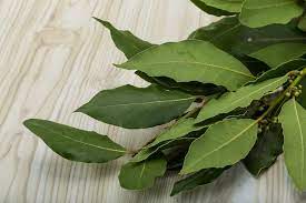 5 Remedios Naturales Para Tratar La Congestion De Pecho Mejor Con Salud