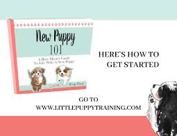 Check out the new blue buffalo blue smokehouse gourmet. New Puppy 101 Ebook Includes 10 Puppy Rules Printables Flea Free Naturally Ebook Limited Time Special Price 9 99 Agatha S Pet Wellness