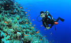 Images for scuba diving key west