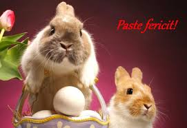 Status de paste 2021 5. Mesaje De PaÈtele Catolic Èi Protestant 2016 UrÄri FelicitÄri Èi Sms Uri Pe Care Le PoÅ£i Trimite Celor Dragi De Sfintele Pasti Abrudinfo Ro