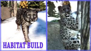 Snow Leopard Habitat Speed Build Planet Zoo Snow Leopard Habitat Snow Leopard Habitats