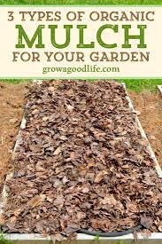 5 Ways Organic Mulch Helps Your Vegetable Garden Organic Mulch Mulch Garden Mulch