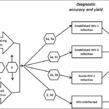 Pdf Laboratory Testing For The Diagnosis Of Hiv Infection Updated Recommendations