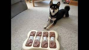 The nina ottosson by outward hound twister puzzle game dog toy has varying. 9 Best Dog Puzzle Toys For Bored Dogs 2021 Reviews