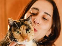 Super Rugby U16s 2023: Why Waratahs 16s are one of our best teen footy  teams, result wrap, GF stars