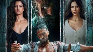 Baaghi 4 Box Office Collection