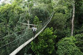 Selangor is one of only two malaysian states with more than one city; 8 Best Family Day Trips From Kuala Lumpur