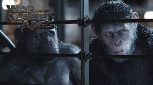 Der krieg, den koba mit den von der seuche stark dezimierten menschen angezettelt hat, ist in vollem gange. War For The Planet Of The Apes 20th Century Studios