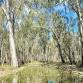 Gunbower Forest and Wetland Bus Tour event image