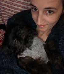 Seven Pines Shih Tzus