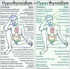 The Difference Between Hypothyroidism Vs Hyperthyroidism