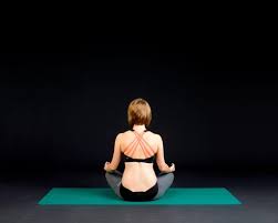 We did not find results for: Yoga Vs Exercise The Differences Between Yoga And Exercise