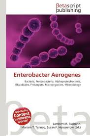 Image result for Enterobacter
