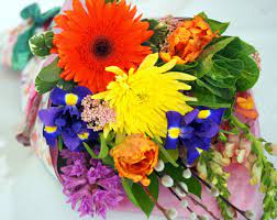 Paul to plymouth and eagan and everywhere in between. Elizabeth In St Paul Mn Your Enchanted Florist